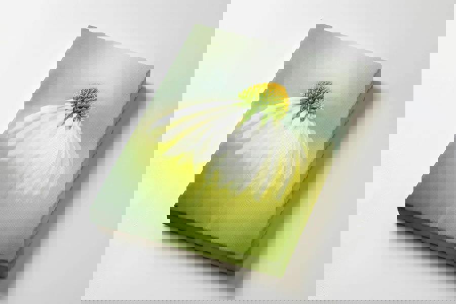 Botanical fine art canvas print in soft green tones