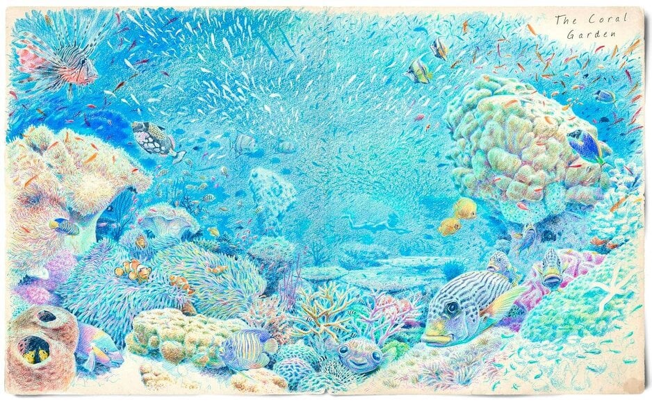 The Lost Book of Undersea Adventure (The Unknown Adventurer)