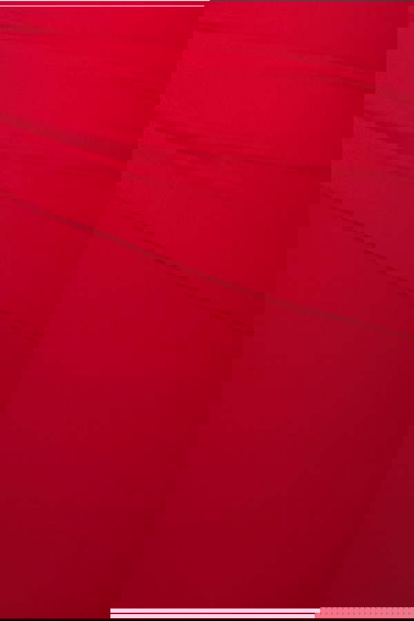 Bardot Pleated Maxi Dress - Red DR1092SCPLUS