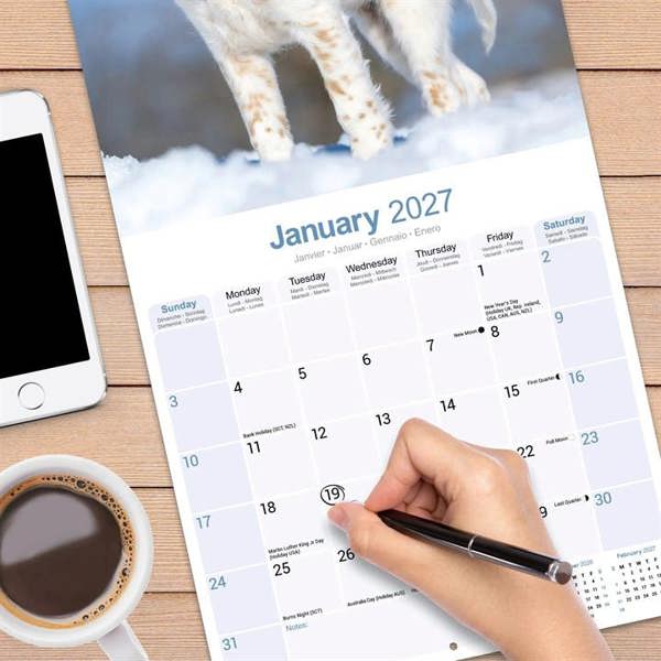 English Setter Calendar 2027, Wall Calendars, Month To View, Dogs, Gift