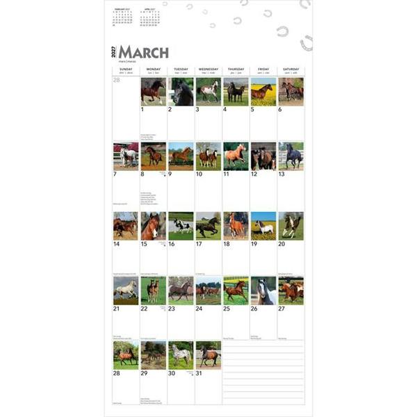 365 Days Of Horses Calendar 2027, Wall Calendars, Month To View, Animals, Gift