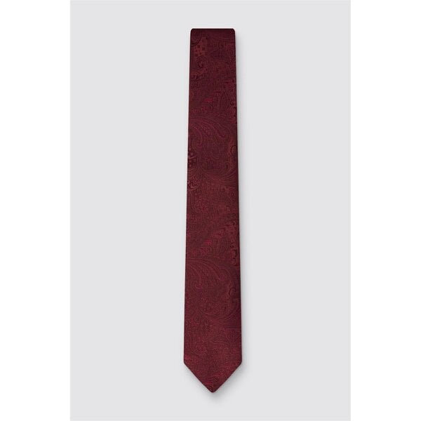 Antique Rogue Burgundy Paisley Tie