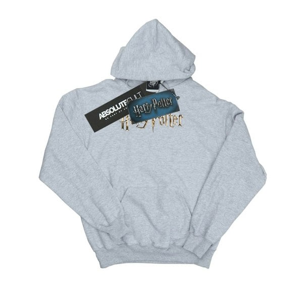 Harry Potter Womens/Ladies Full Colour Logo Hoodie - Sports Grey