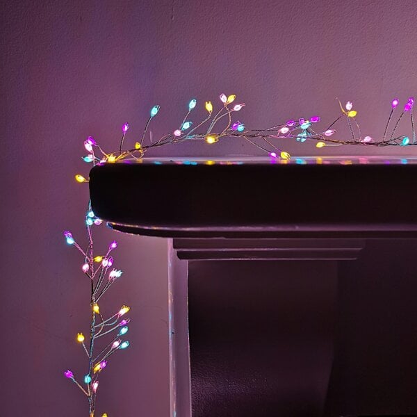 Samuel Alexander 800 LED 5.5m Premier Christmas Indoor Outdoor Wire Cluster Lights with Timer in Rainbow