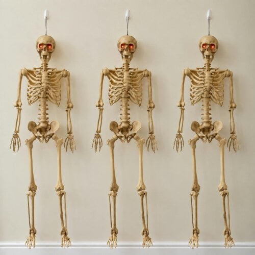 Samuel Alexander Pack of 3 5ft (150cm) Posable Full Body Halloween LED Skeleton Decoration with Movable Joints and LED Eyes