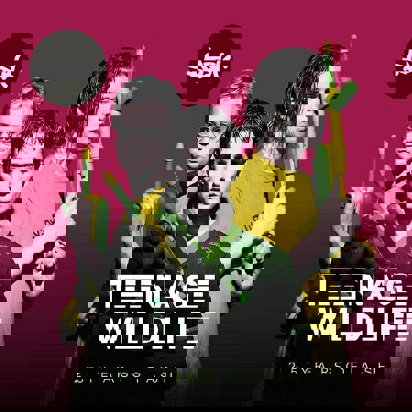 Ash 'Teenage Wildlife' 2CD