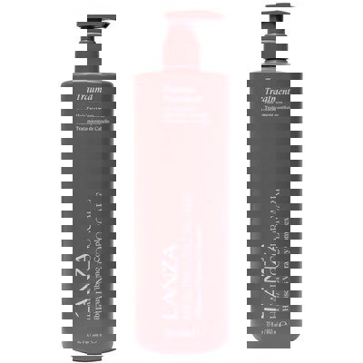 L'Anza Healing ColorCare Trauma Treatment 950ml inc Pump