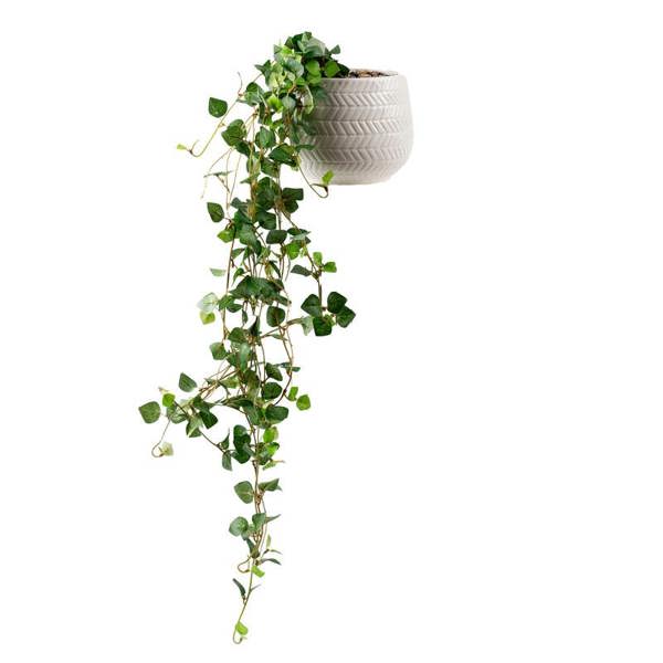 Scottish Everlastings 60cm String of Hearts in Ceramic Pot