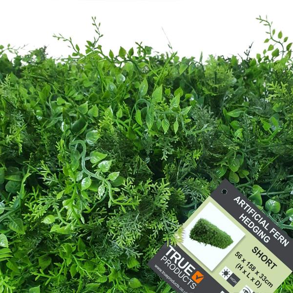 Premium Freestanding Artificial Fern Hedge - 56cm x 158cm - Evergreenery