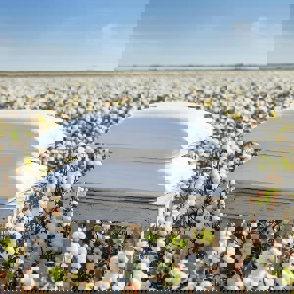 Ethical Bedding Sleepyhead Pillow Set (Organic Cotton Percale)