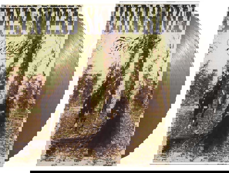 Lynyrd Skynyrd 'The Last Rebel' LP 180g Silver Vinyl