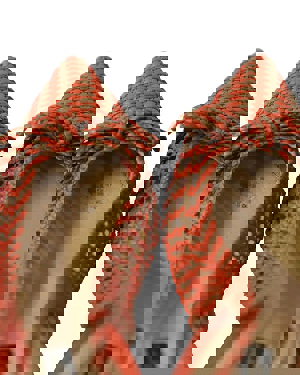 162586958.jpg