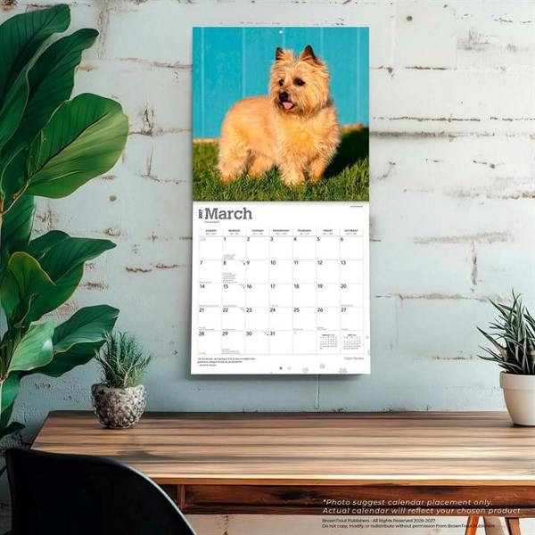 Cairn Terriers Calendar 2027, Wall Calendars, Month To View, Dogs, Gift
