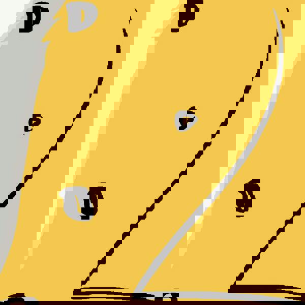 Joules Country Critters Heroes Wallpaper - White / Rainbow - 10m