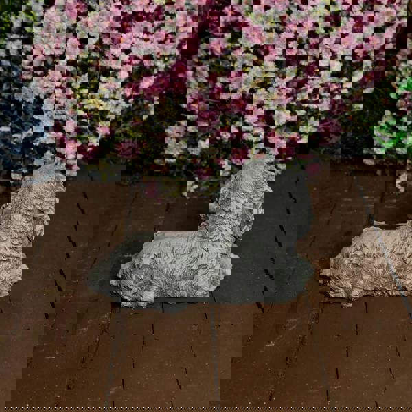 Stone Cast Small Laying King Charles Spaniel Dog Statue Ornament 