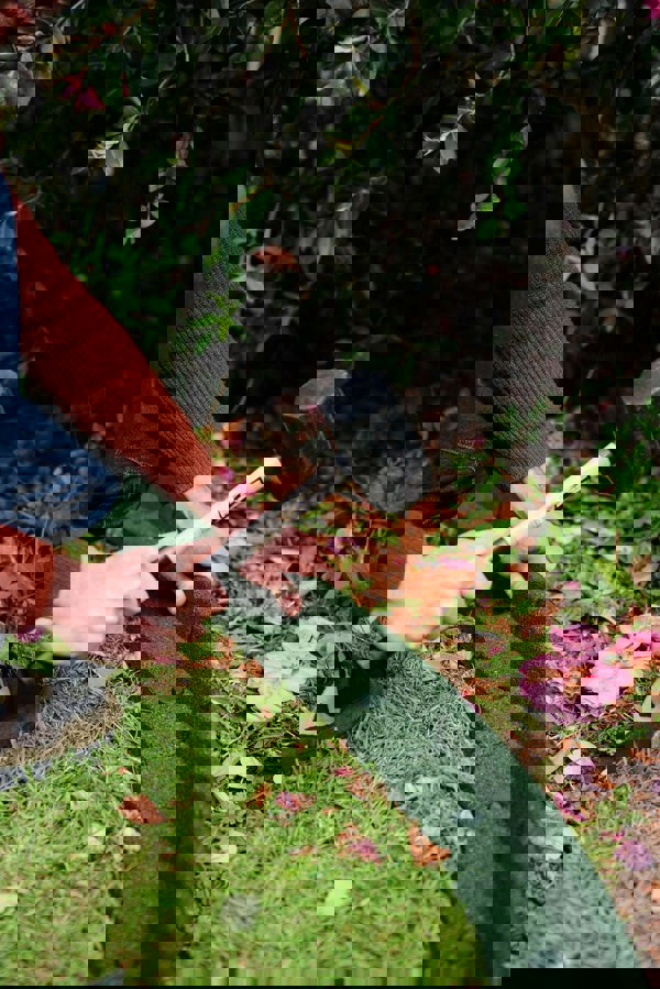 garden-border-edging