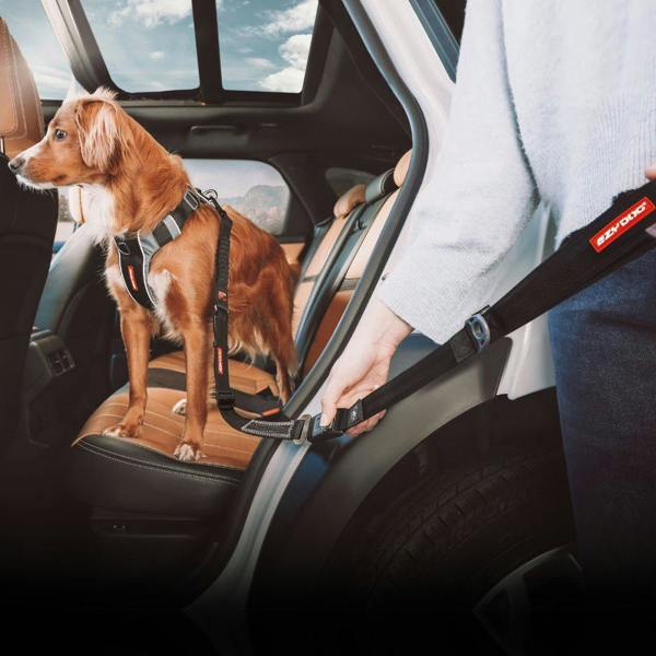 EzyDog Click Lead Handle for Seatbelt