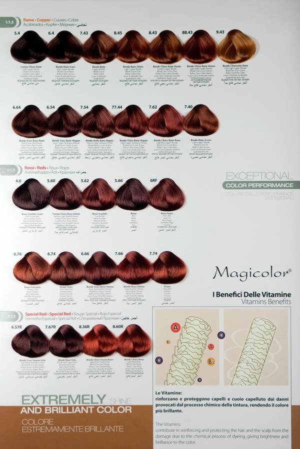 MagiColor Professional Permanent  Creme Color 100ml Sandy Blonde (12.4)