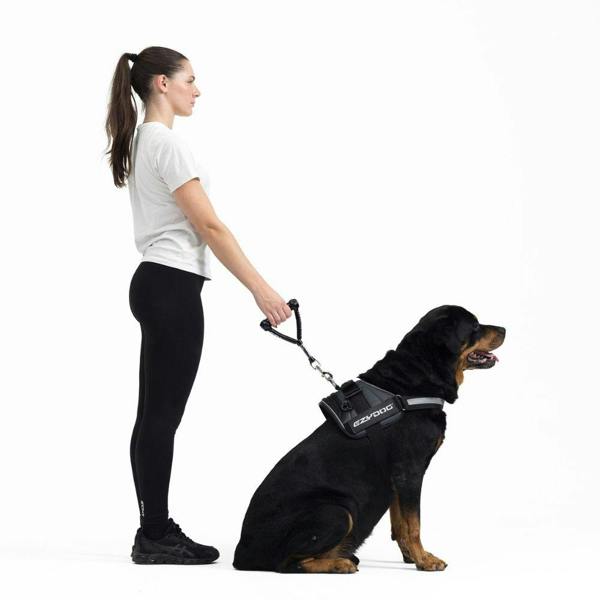 EzyDog Mongrel Dog Lead