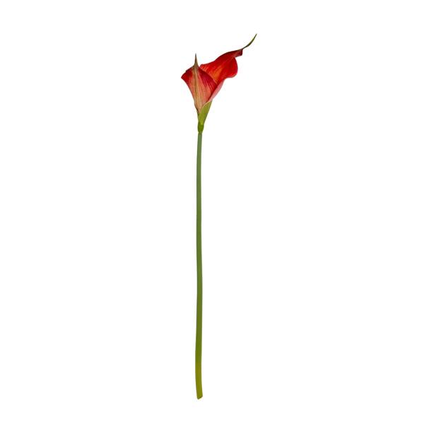 Hill Interiors Fireball Calla Lily Artificial Flower - Red/Red/Green/Green