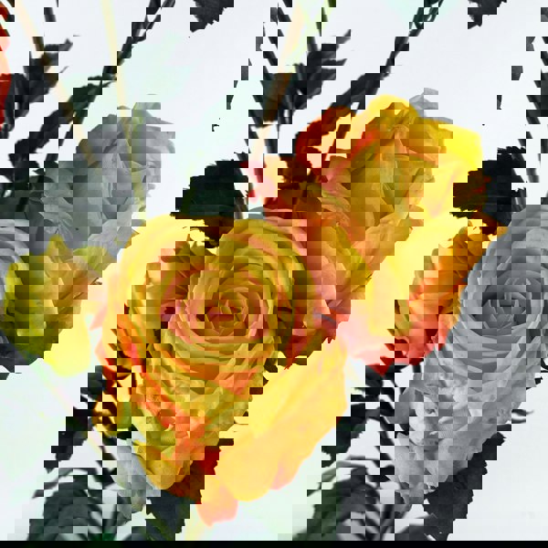 Leaf 6 x 60cm Yellow Rose Artificial Flower Sprays - 24 Flowers 18 Buds