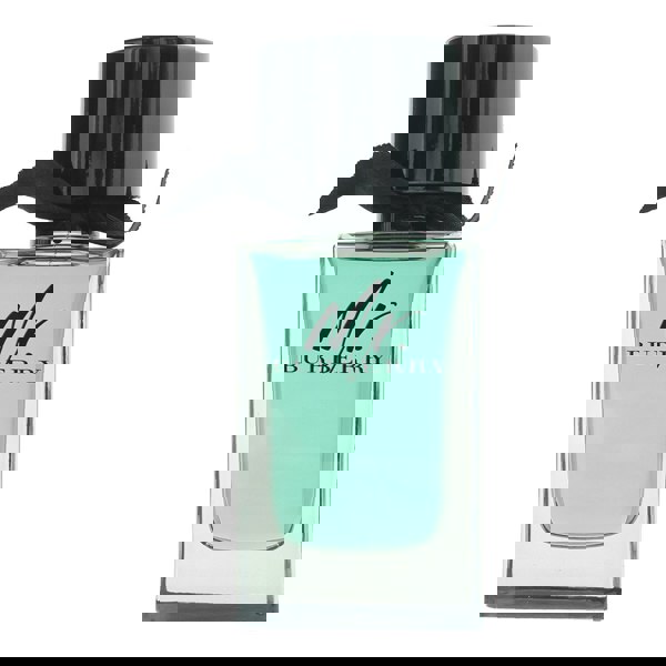 Burberry Mr. Burberry Eau de Toilette 100ml for Him