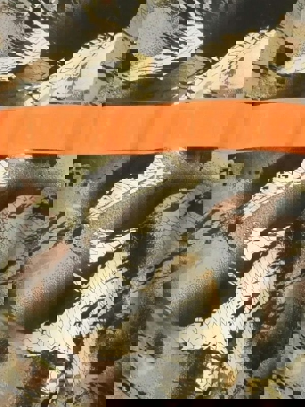 Heron Preston Camouflage Tape Windbreaker - Supplied FashionHeron Preston