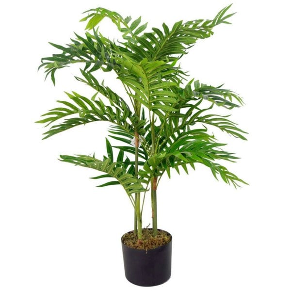 Leaf 80cm Leaf Design UK Large Realistic Artificial Palm Tree  Areca