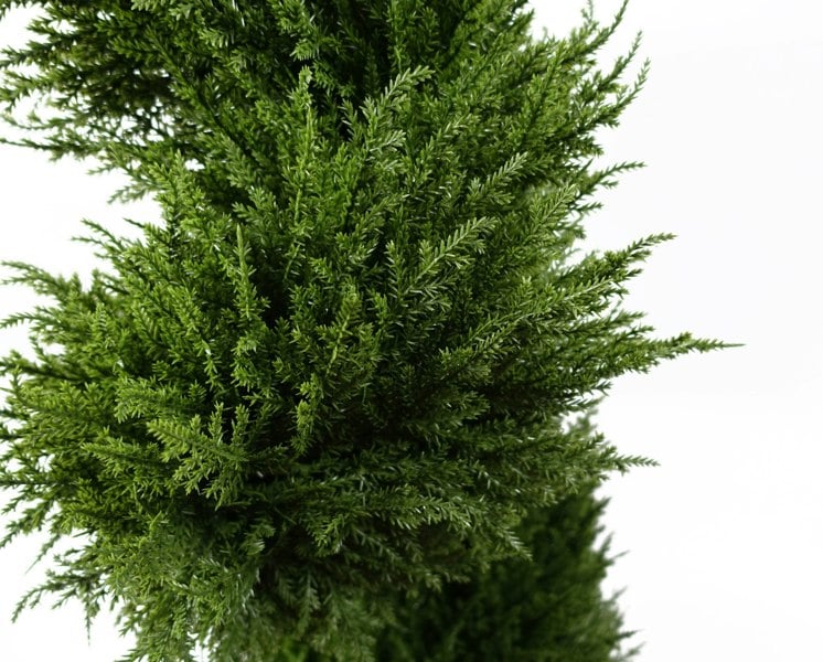 Leaf 120cm Pair of Spiral Cypress Artificial Tree UV Resistant Outdoor