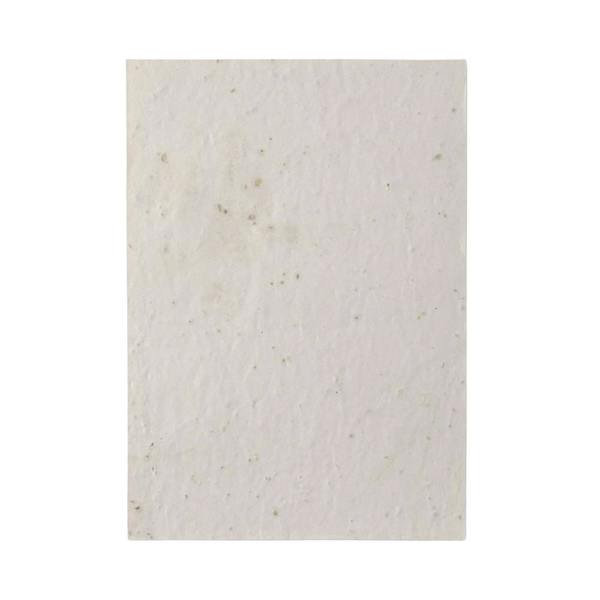 MidOcean Aside Wildflower Seed Paper - White - 