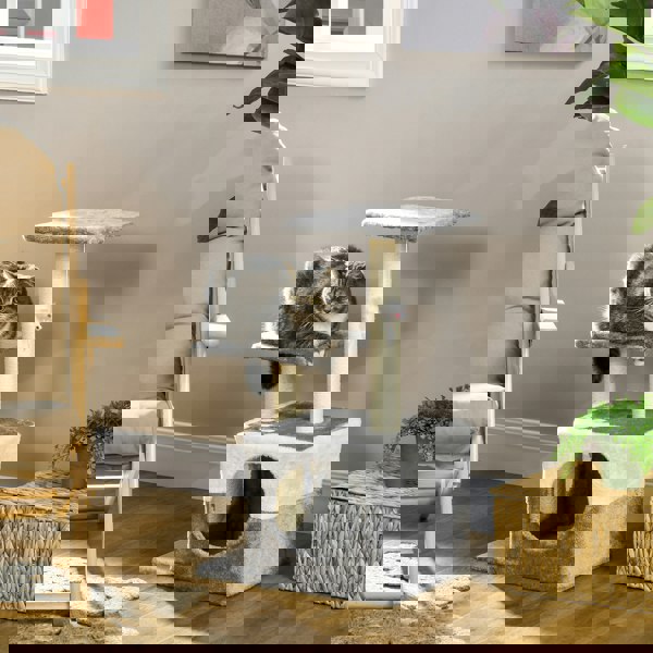 D30-197V01GY