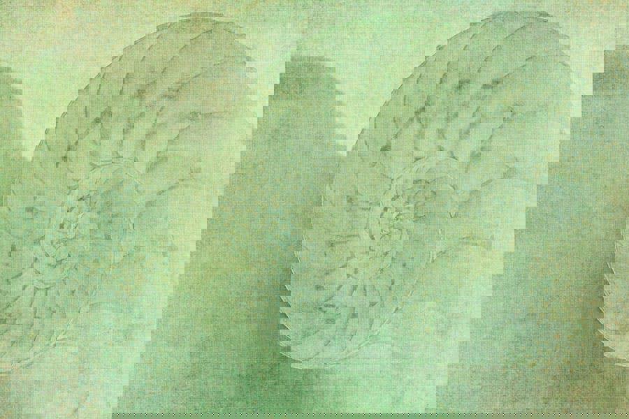 Oceanic art print by Doug Chinnery