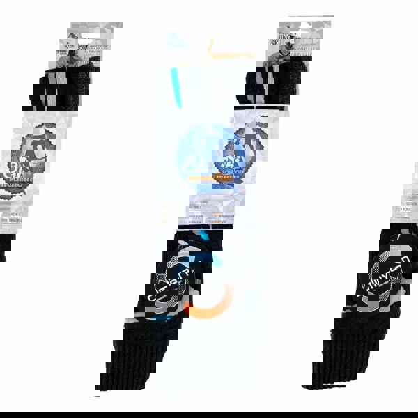 t4option1_0