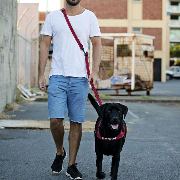 EzyDog Road Runner Dog Lead in Red
