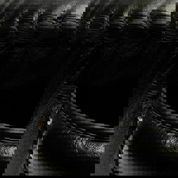 Tuf Wear Thumper Leather Punch Coaching Shield