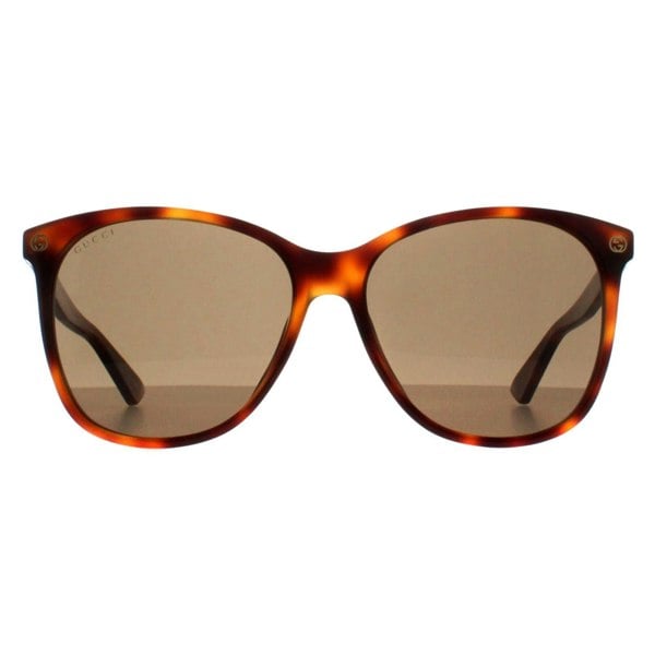 Gucci Sunglasses GG0024S 002 Havana Brown