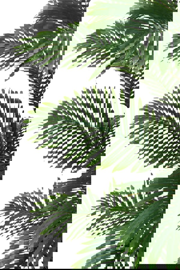 Living and Home 160cm Artificial Palm Tree Potted for Garden, Office & Home Decor