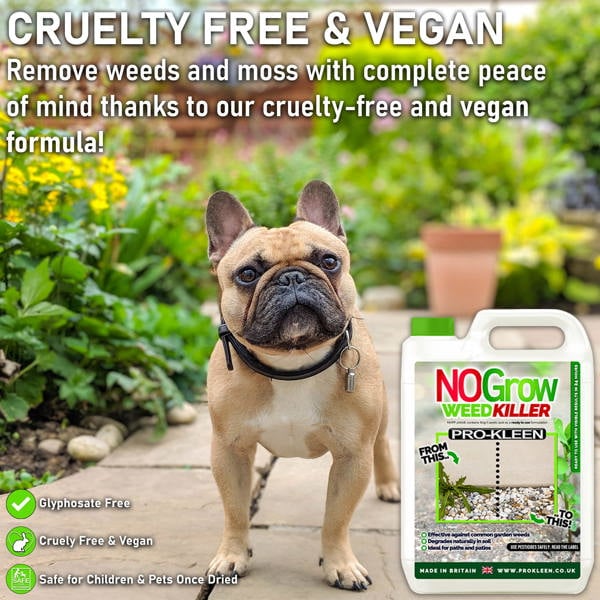 ProKleen Pro-Kleen No Grow Weed Killer For Patio And Driveways (5 Litres)