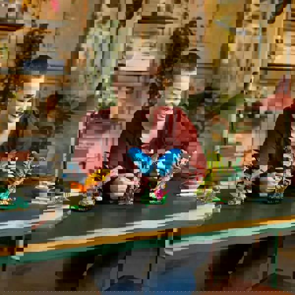 LEGO LEGO LEGO Ideas The Insect Collection (21342)