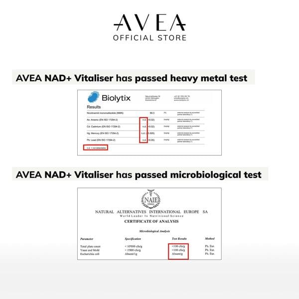 AVEA NAD+ Vitaliser Supplement (30 capsules) | Swiss Quality | 99% Purity | NAD+ supplement, Nicotinamide, NR