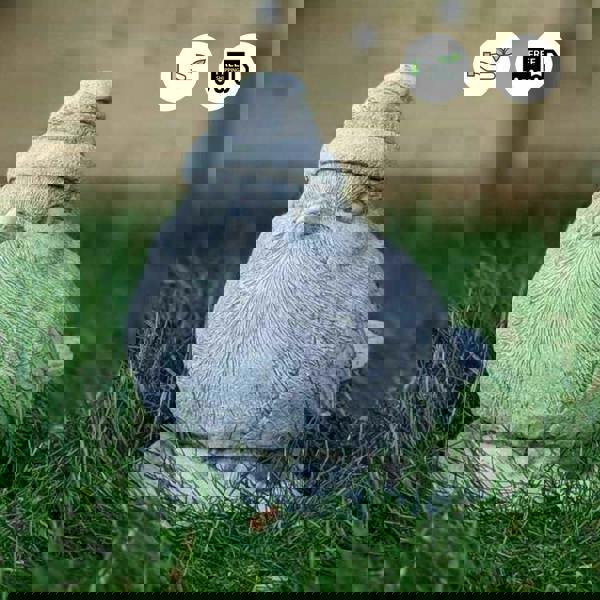 Stone Cast Christmas Robin Garden Ornament