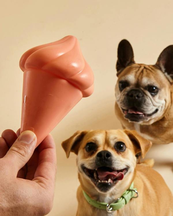 Barc London Whippy Squeaky Dog Toy