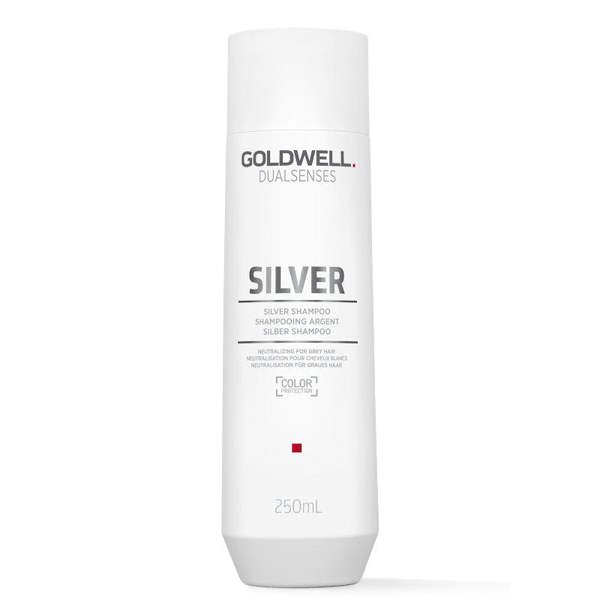 Goldwell Dualsenses Silver Shampoo 250ml – Anti-Yellow Blonde & Grey Hair Care