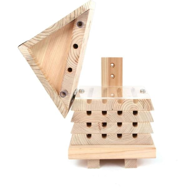 Interactive Solitary Bee Hive with Viewing Lid – Wooden Bee Hotel for Garden Pollinators