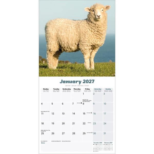 Sheep Calendar 2027, Wall Calendars, Month To View, Animals, Gift
