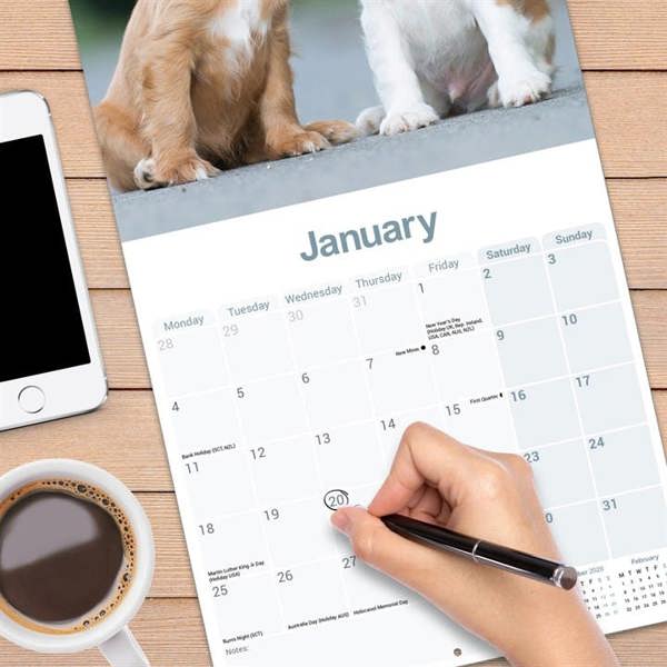 Cavalier King Charles Spaniel Calendar 2027, Wall Calendars, Month To View, Dogs, Gift