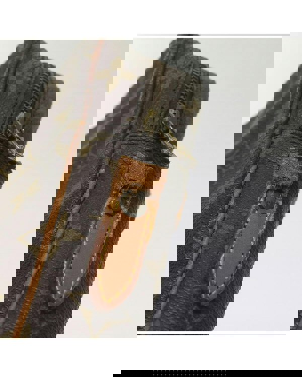 168834733.jpg