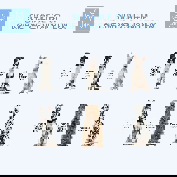 D02-181V04SR