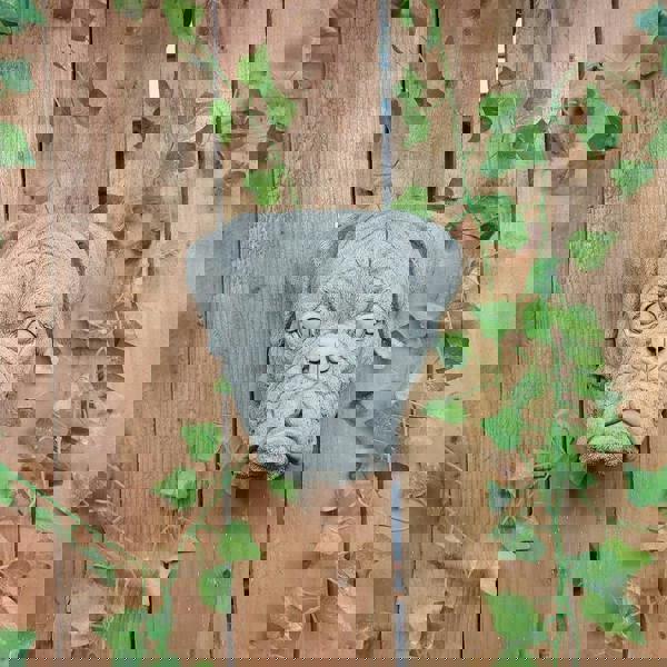 Boxer Dog Head Stone Wall Plaque