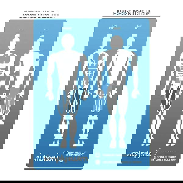 Simply Swim adult kickboard with blue white muscle guide poster